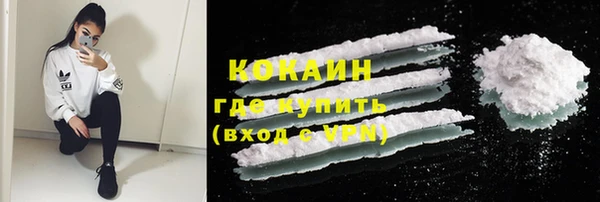 стафф Осинники