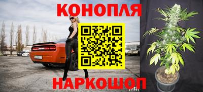 мяу мяу мука Кулебаки