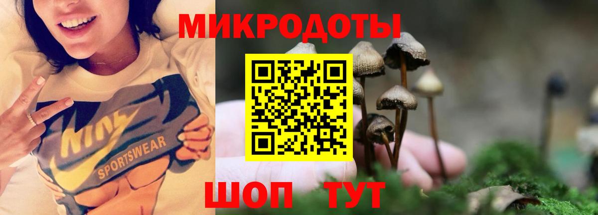 Галлюциногенные грибы Psilocybine cubensis  Вход с VPN  Галлюциногенные грибы прущие грибы  Карачаевск 