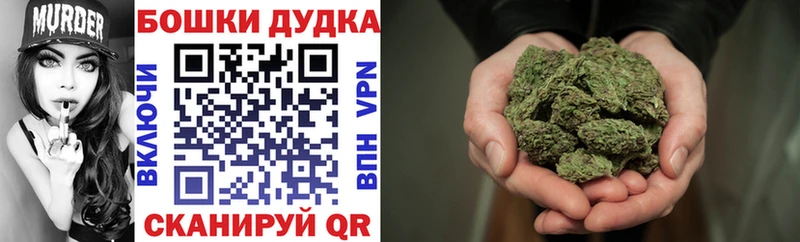где можно купить наркотик  мега ССЫЛКА  Канабис конопля  Карачаевск 